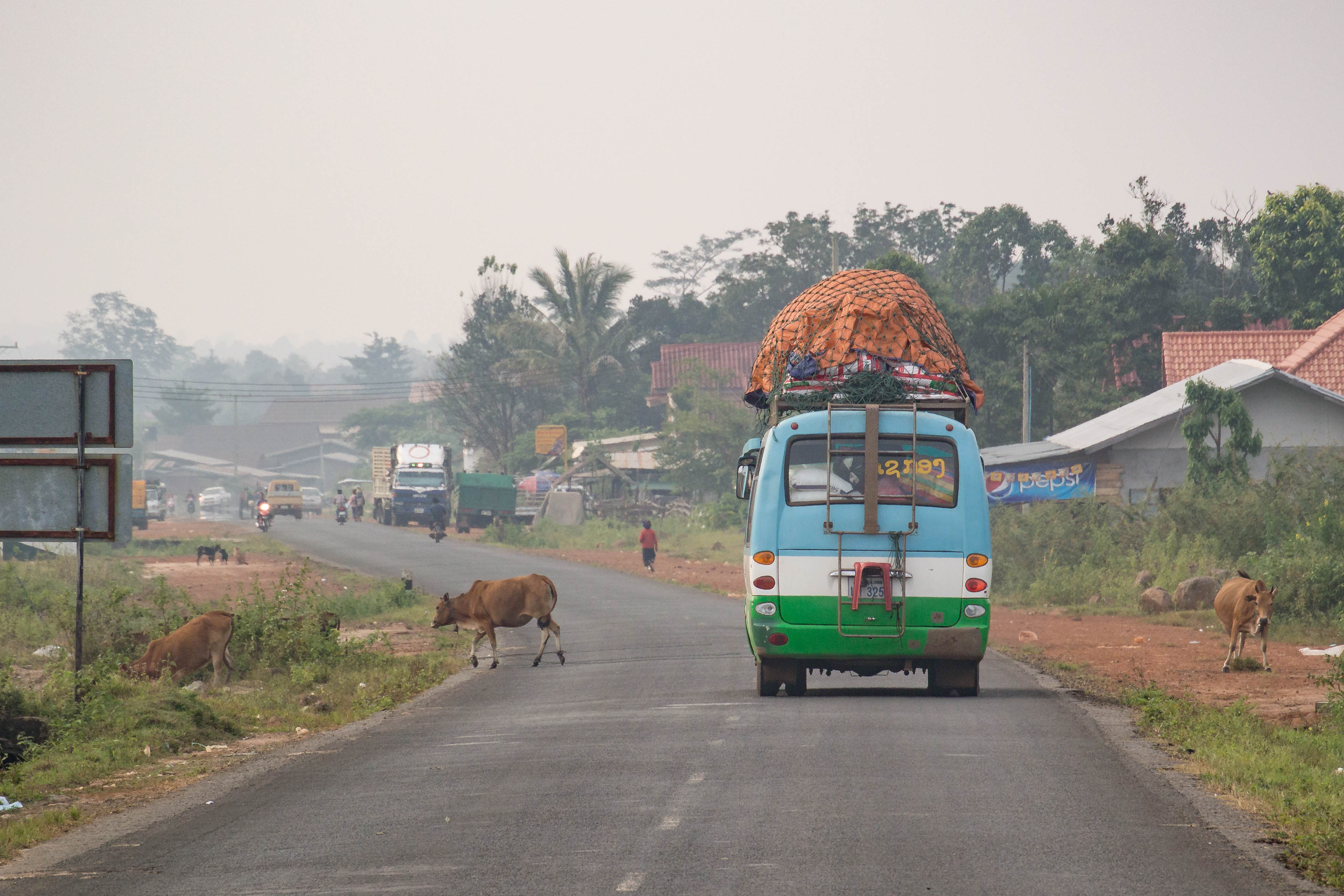 bolaven plateau