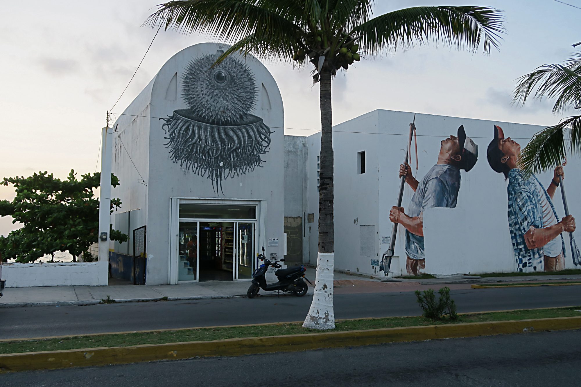 yucatan, cozumel