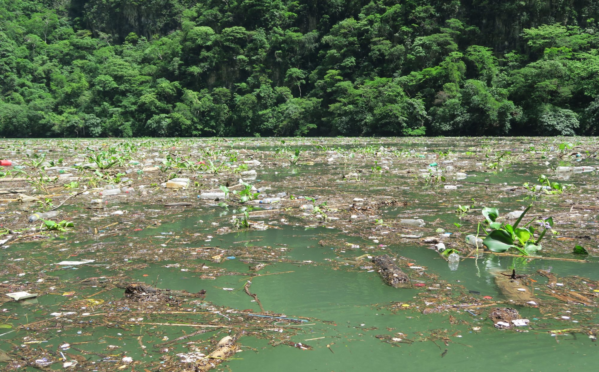 chiapas_canon_sumidero