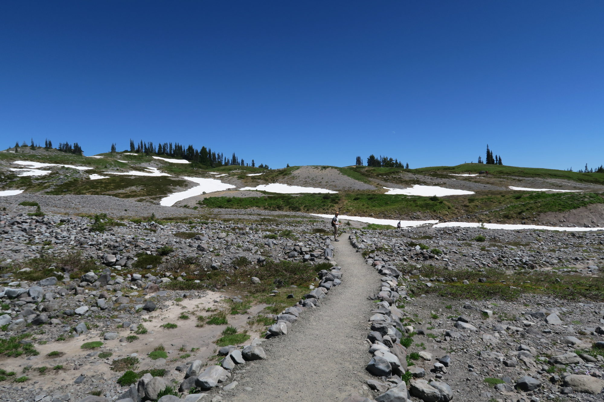 washington mt_rainier_steinfeld