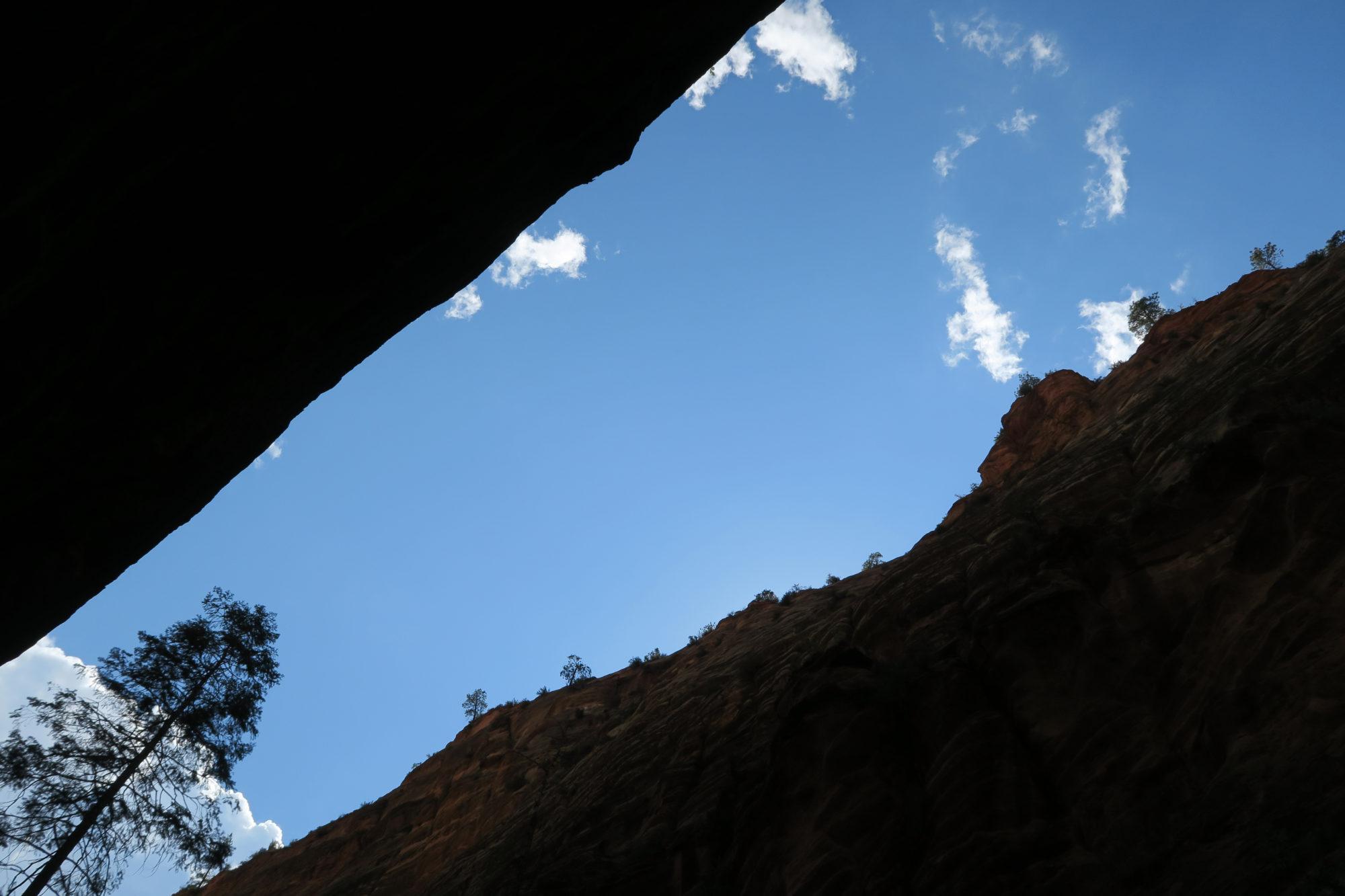 utah zion_sky